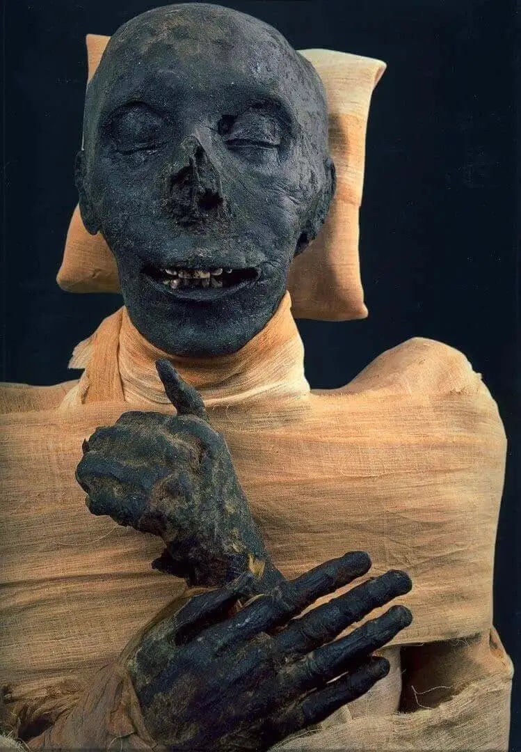 The Mummy of Thutmose III and the Hidden Mystery