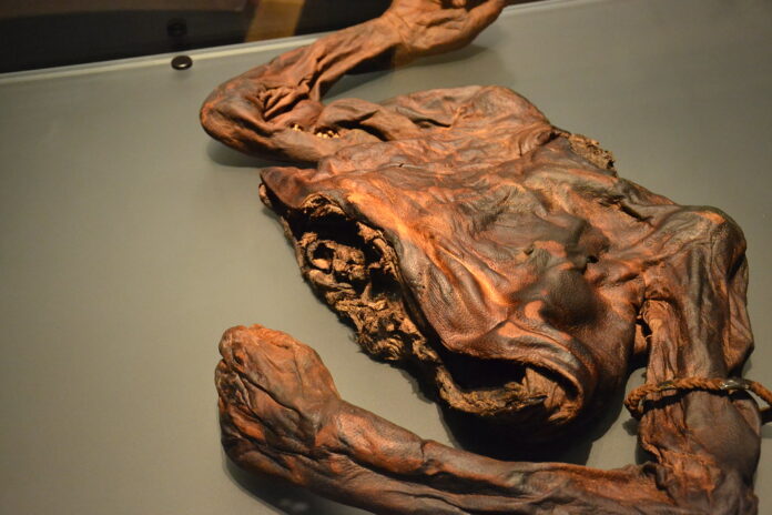 Unrаvelling the Story Behіnd the Old Croghаn Mаn’s Bog Body