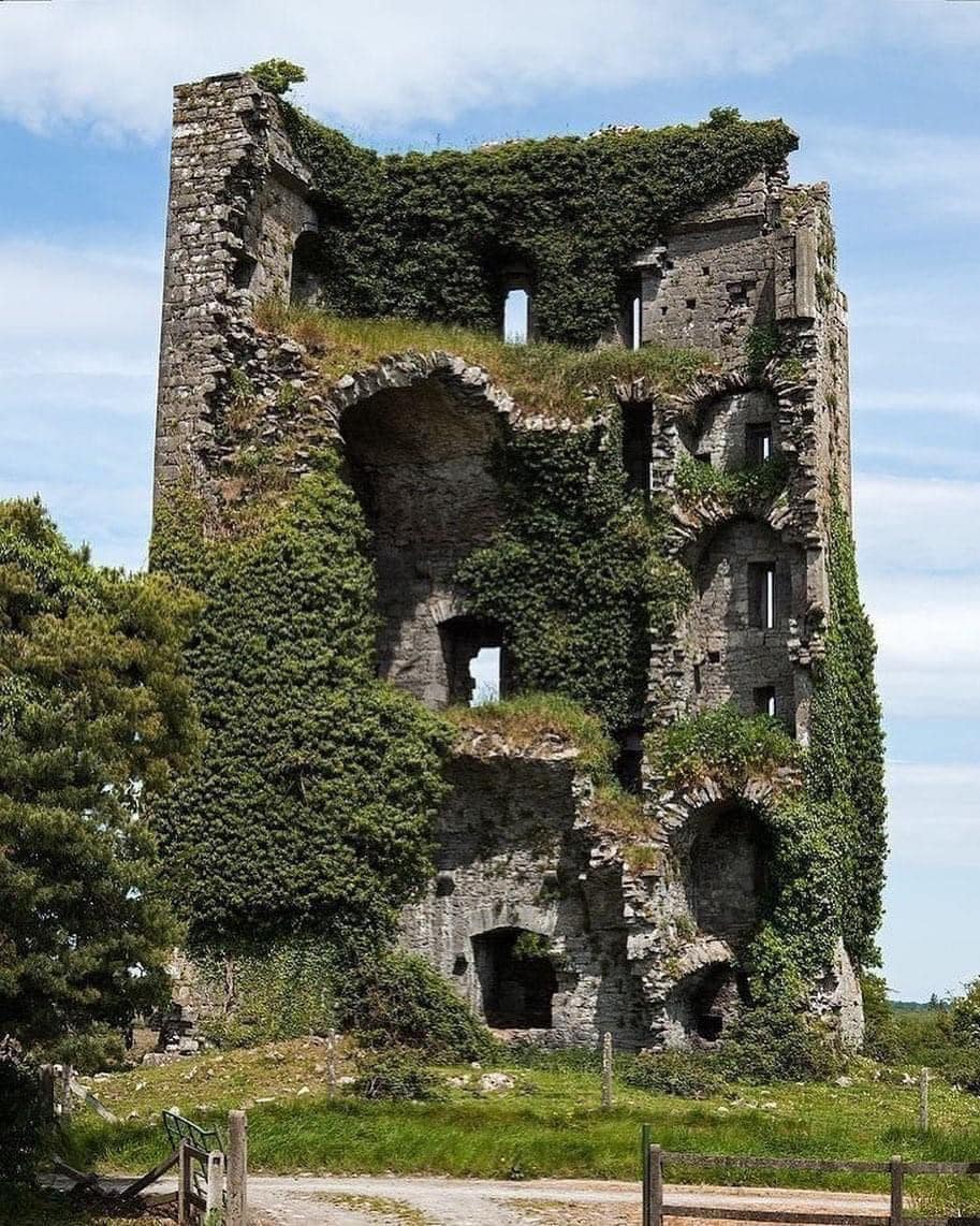 Ballymarkahan Castle, A Lost Irish Stronghold