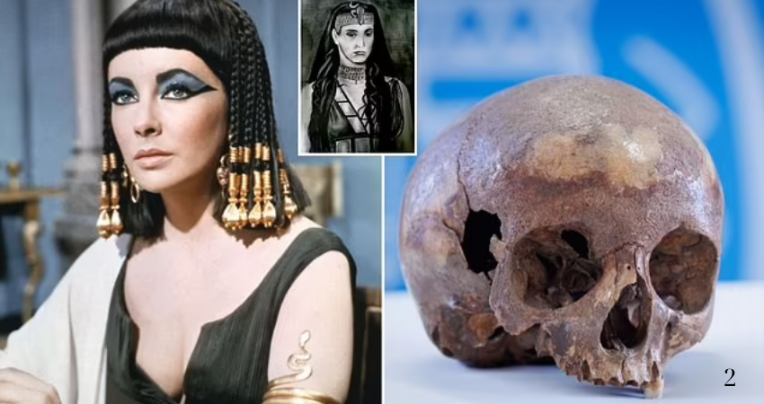 Scientists SOLVE the mystery of ‘Cleopatra’s sister’s’ skull – as they encounter a ‘big surprise’