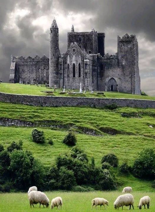 Cashel Castle | A Journey Through Time in Ireland’s Historic Heart