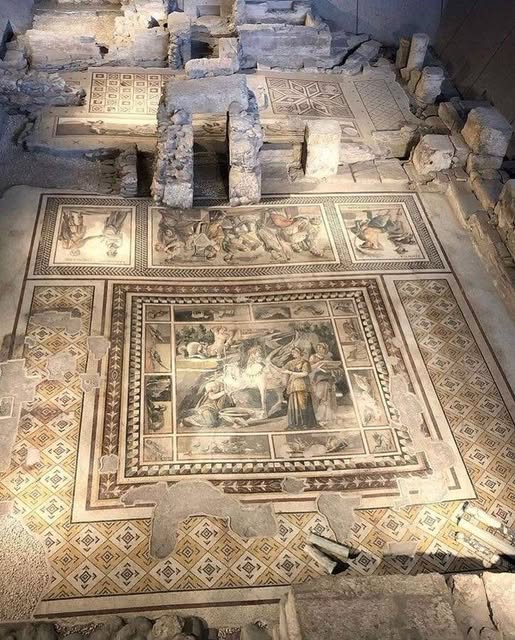 This Is Not A Huge Carpet But The World’s Largest Mosaic Unearthed In Turkey