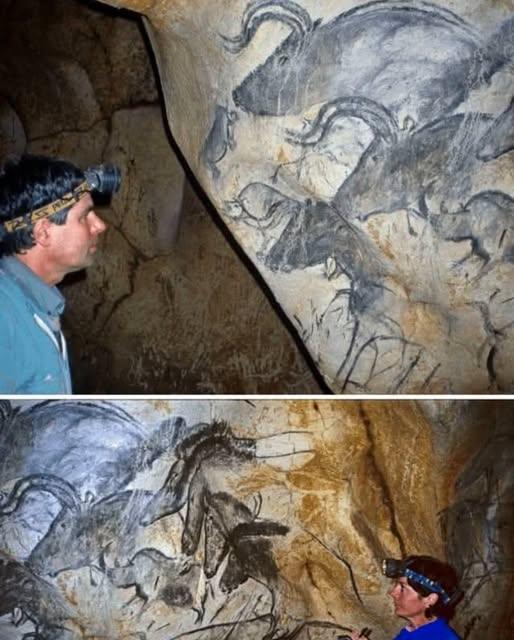 The Drawings of the Chauvet Cave