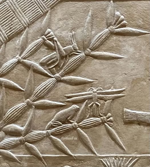 Lovely details from nature depicted on a wall relief in the Tomb of Kagemni at Saqqara.