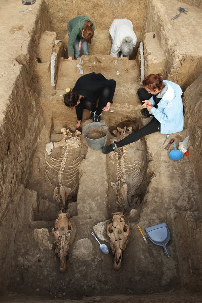 Complete remains of 2,500-year-old chariot and two horses found in Bulgaria