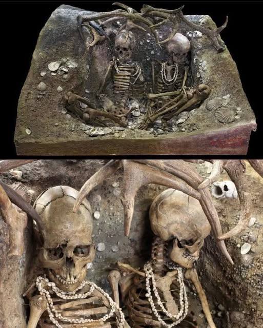 A Makeshift Casket of Sea Shells and Antlers: The 6500-Year-Old Grave of the Unfortunate Ladies of Téviec