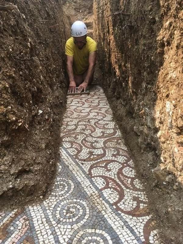 Stunning Roman Mosaics Unearthed Under Vineyard in Italy