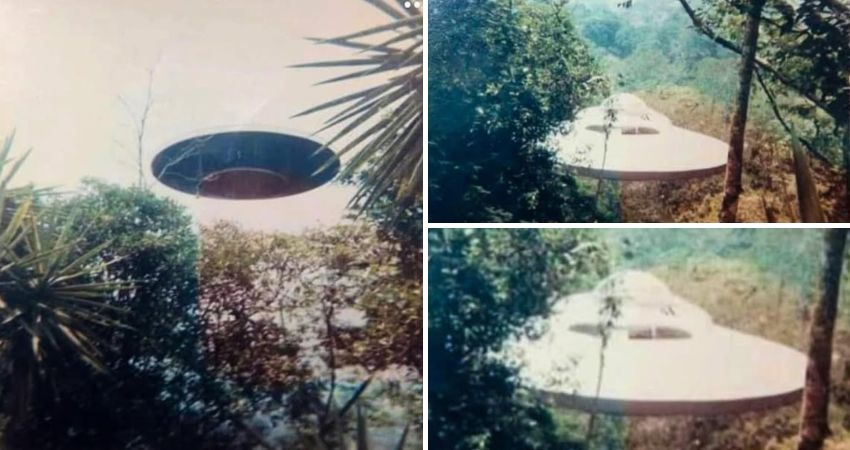 In the 1990s, an explorer captured pH๏τos of a FLYING SAUCER in the forest.