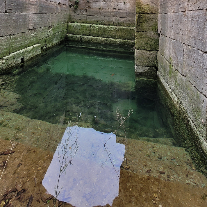 Sacred Spring of Glan, Glanum