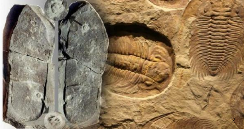 A “200 million-year-old shoe print” could change history