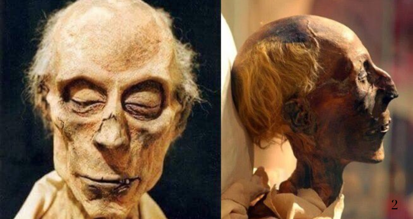 Fascinating. Forensic analysis of a mummy proves that a powerful Egyptian Pharaoh was actually a White man.