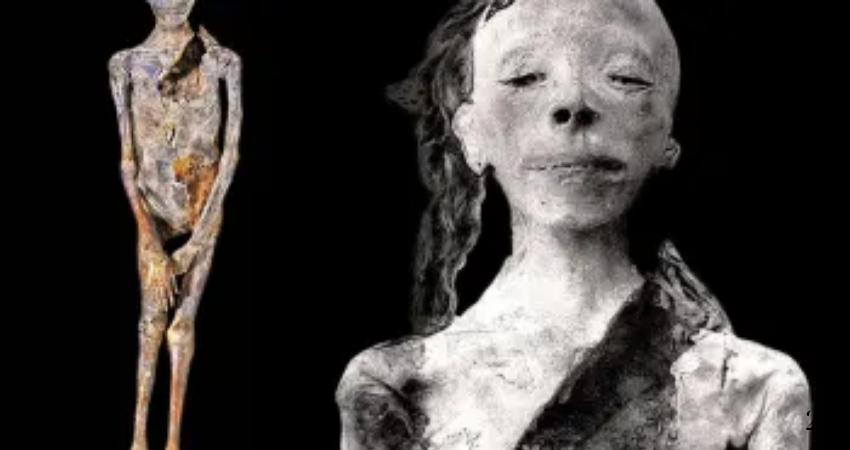 Mummy of Queen Tiye