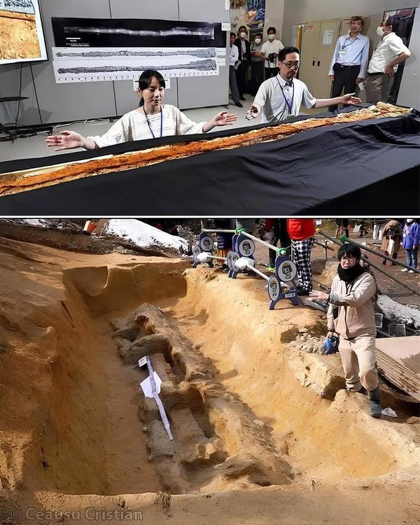 2.3-meter sword found in 4th-century tomb in Japan