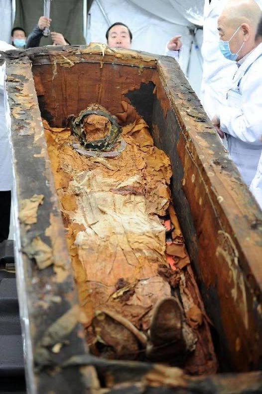 1,500-year-old coffin excavated from grᴀssland in N China