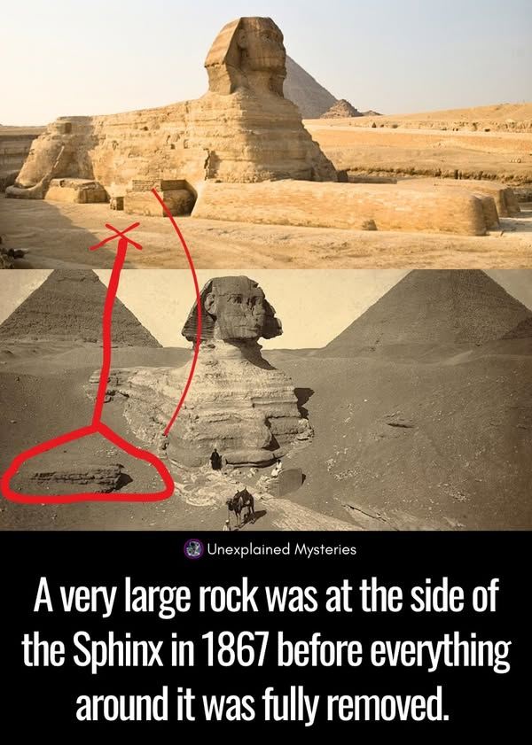 The Big Egyptian Sphinx hides a True – What makes archaeologists do not want to reveal